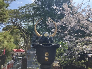 IMG_4114.jpeg