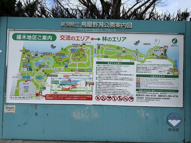 IMG_5418.jpeg