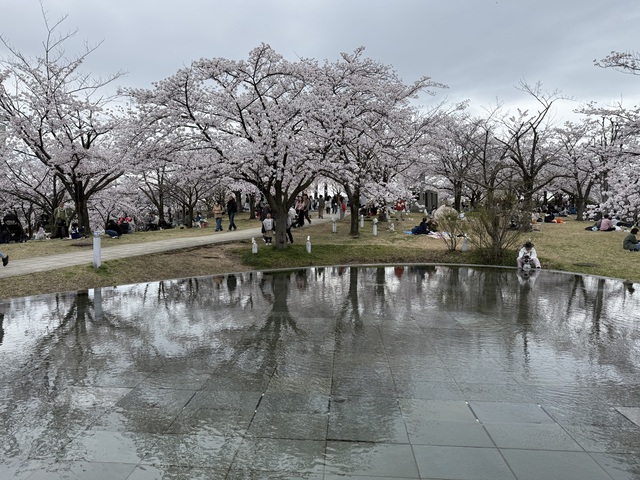 IMG_5451.jpeg