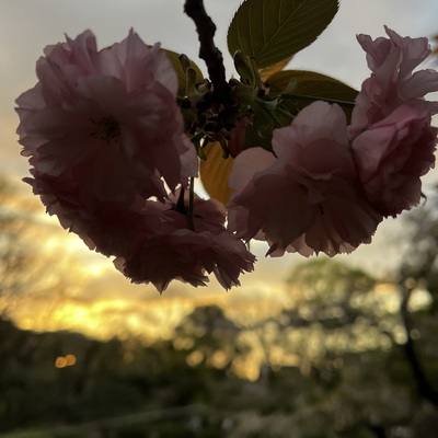IMG_9060.jpeg