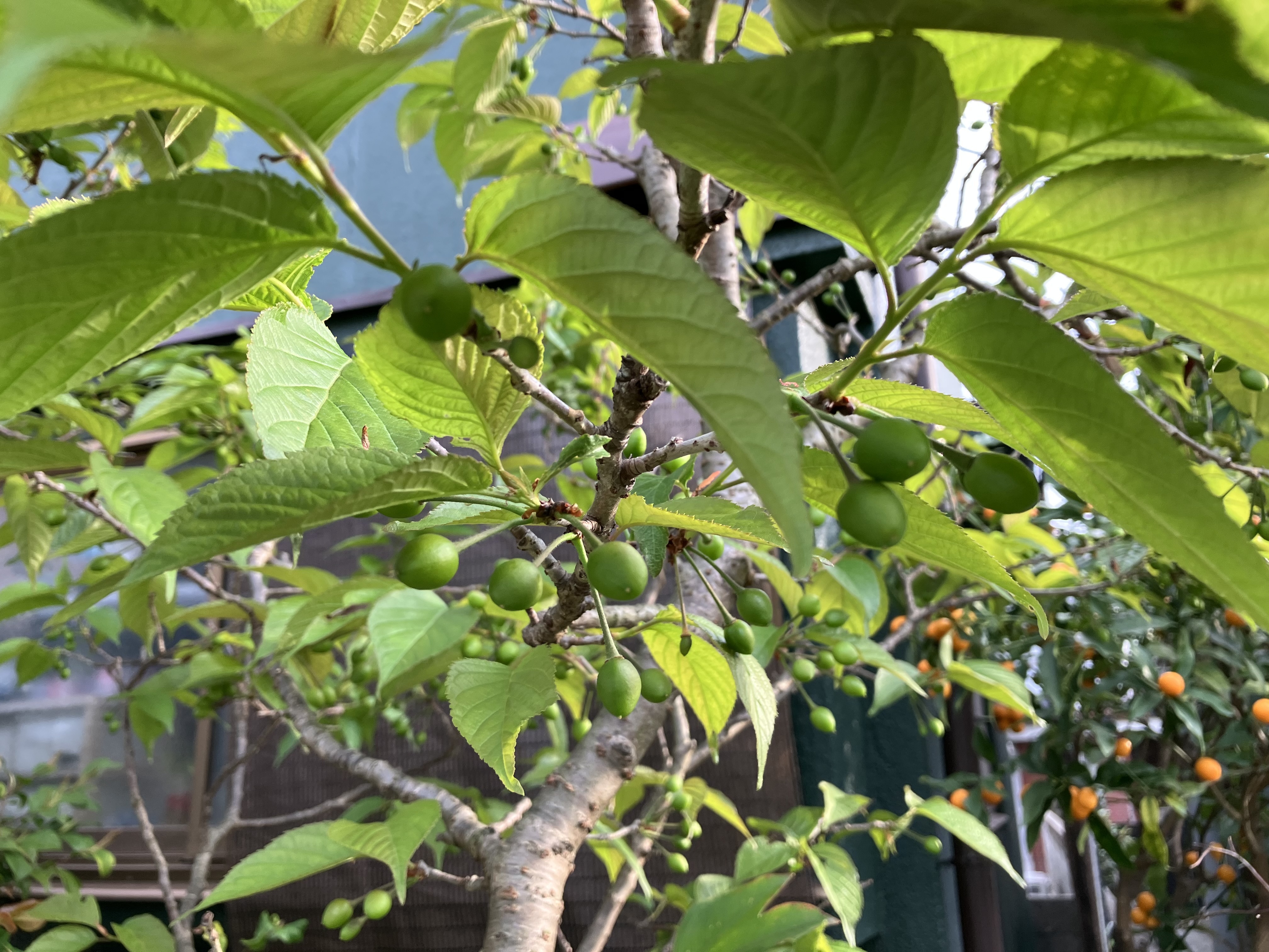 IMG_7219.jpeg