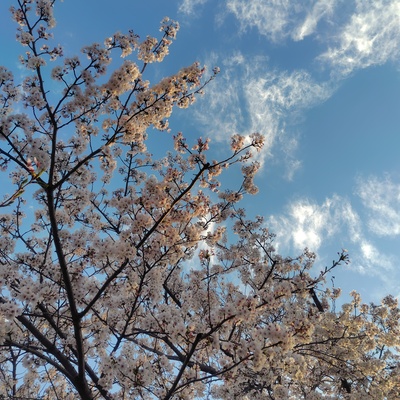260405174040457.JPG