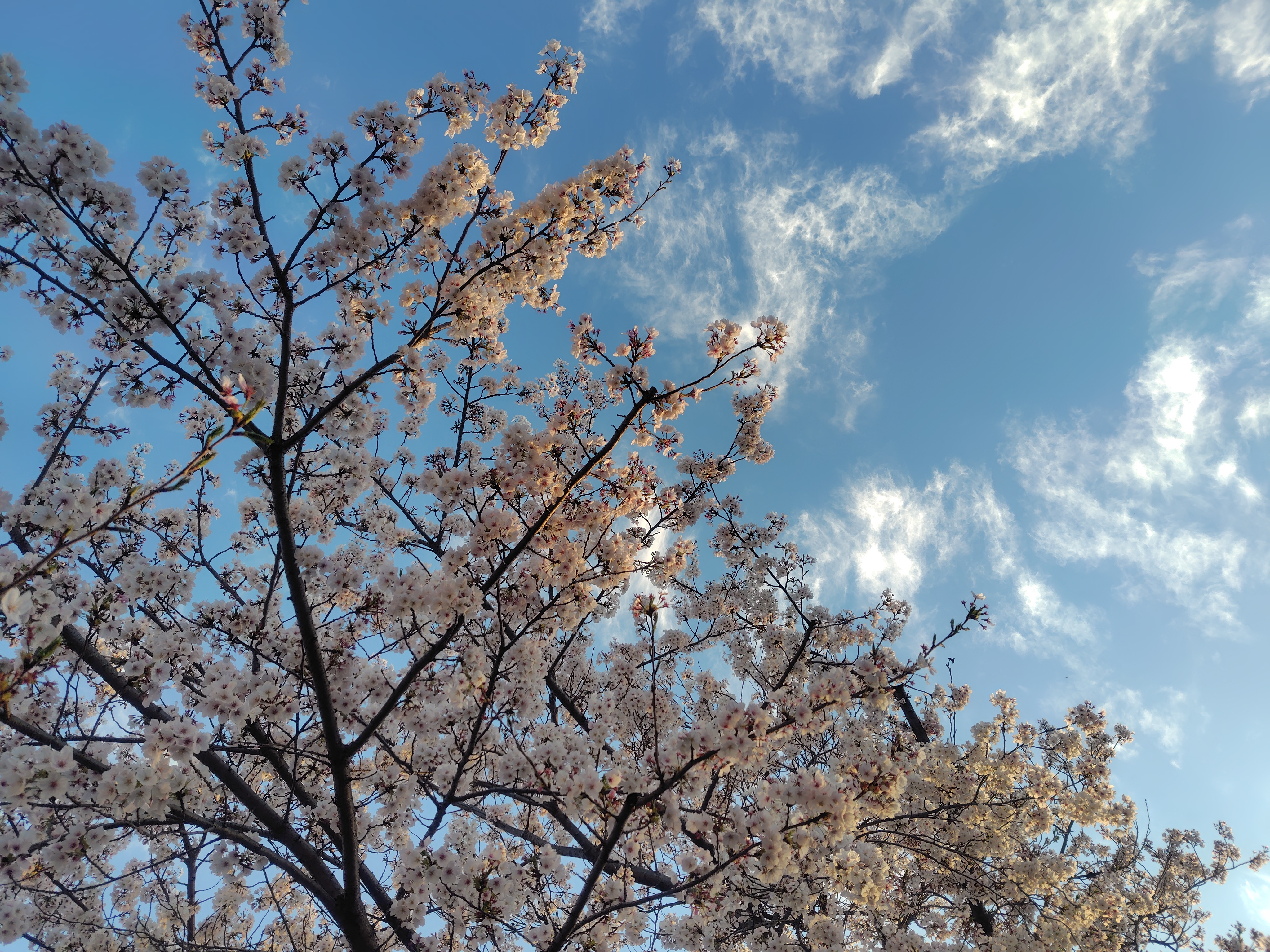 260405174040457.JPG