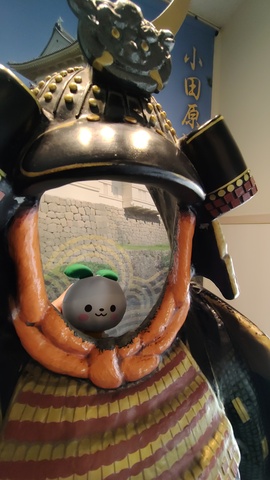 260405100934965.JPG