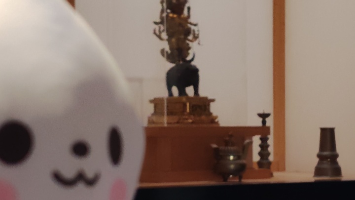 260405102602093.JPG