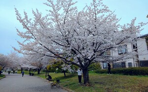 IMG_20260405_115111_8_2.jpg