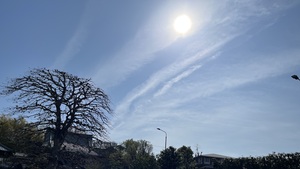IMG_2980.jpeg