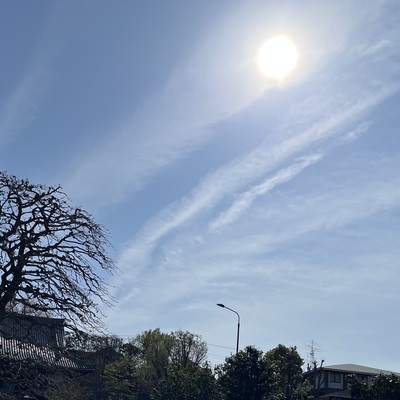 IMG_2980.jpeg