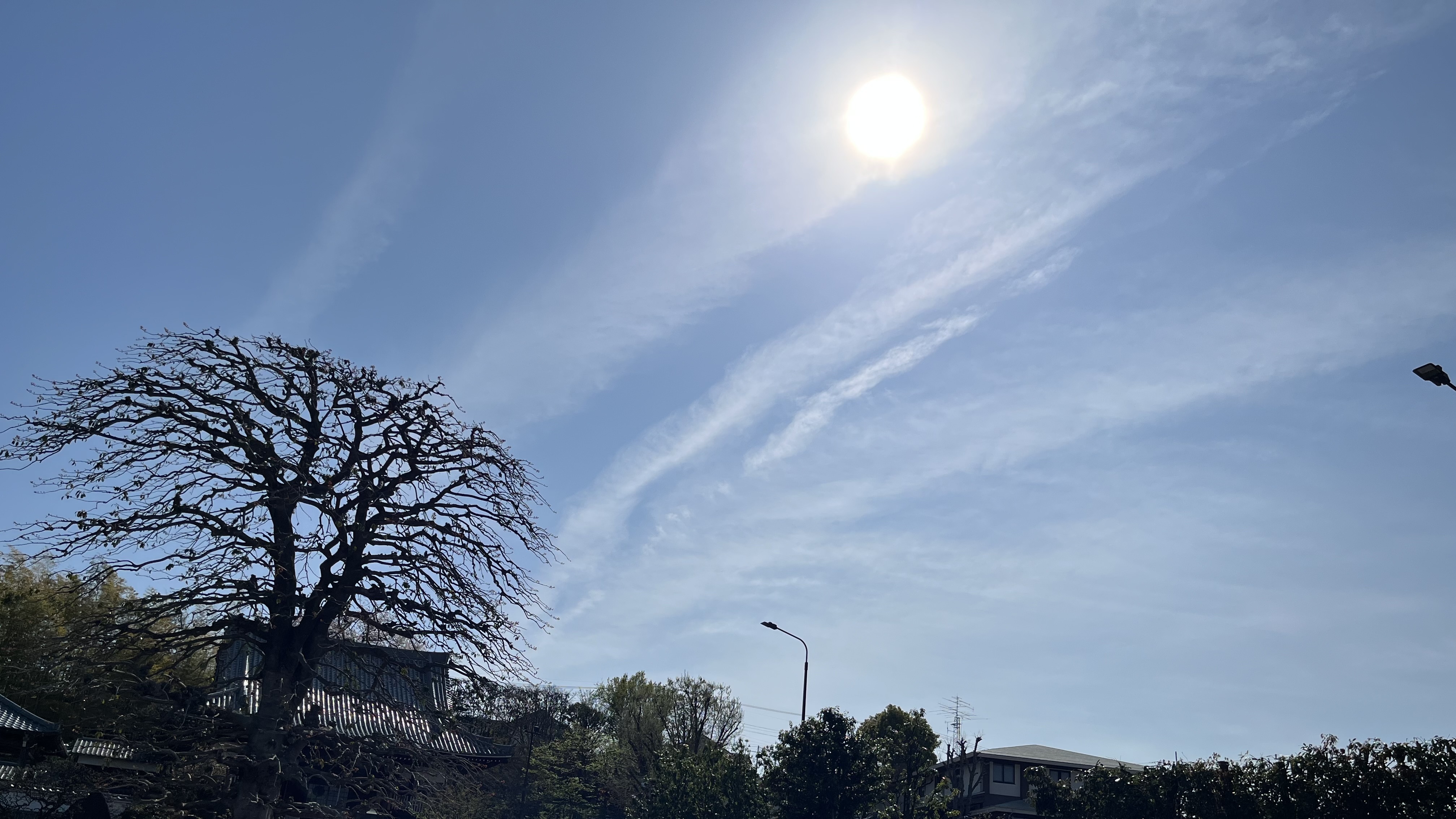 IMG_2980.jpeg