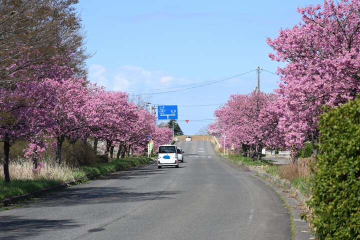 Z63_0375.JPG
