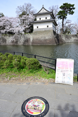 Z63_0459_01.JPG