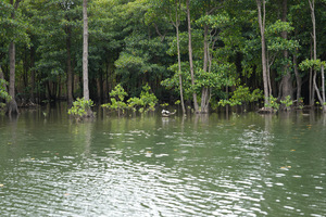 IMG_3389.jpeg