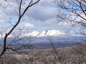 IMG_4995.jpeg