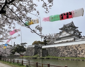 IMG_4324.jpeg