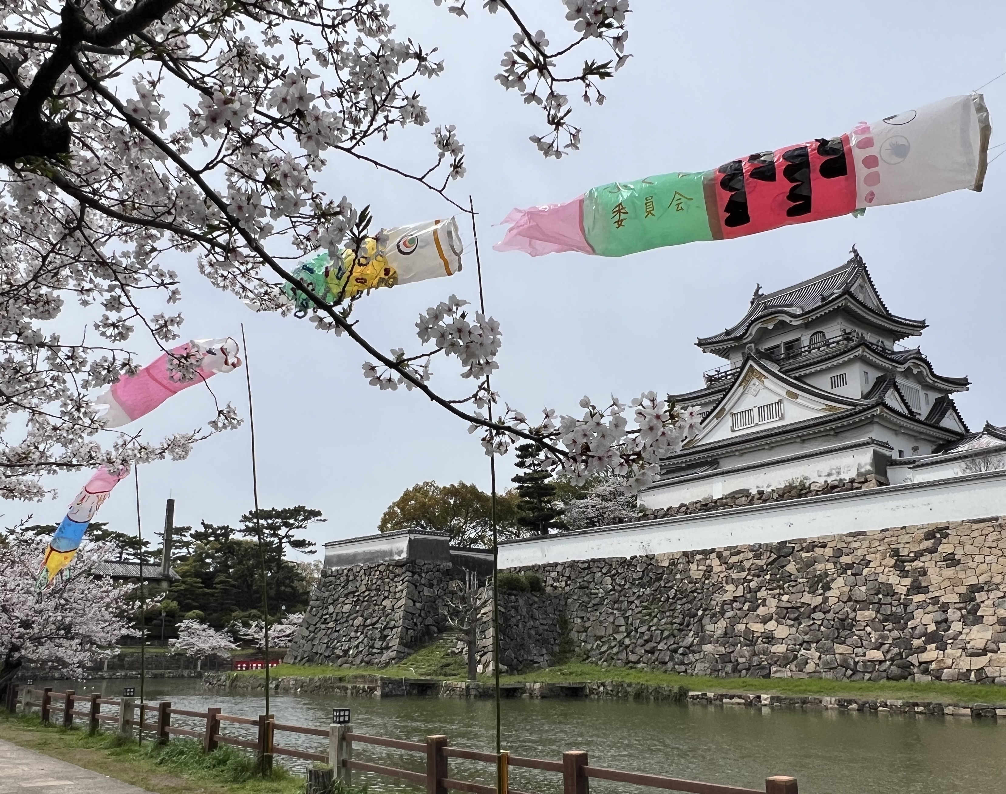 IMG_4324.jpeg