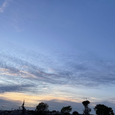 8187FAED-C774-45D2-9400-D7CD7EC853D7.jpeg