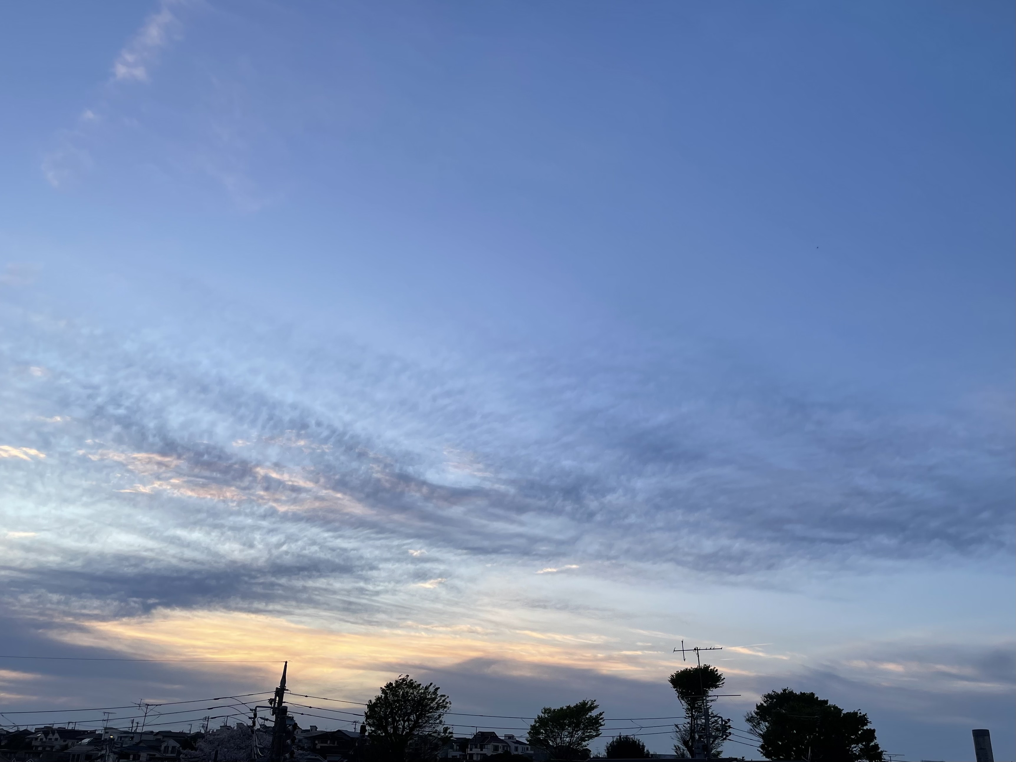 8187FAED-C774-45D2-9400-D7CD7EC853D7.jpeg