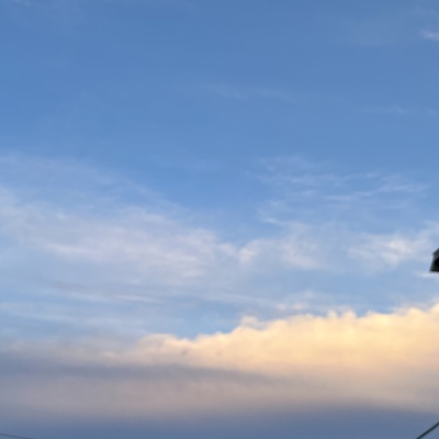 C75F54F0-E965-45D3-BCDC-17E259CF0043.jpeg