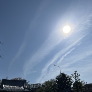 IMG_2981.jpeg