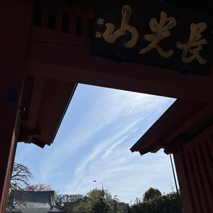 IMG_2983.jpeg