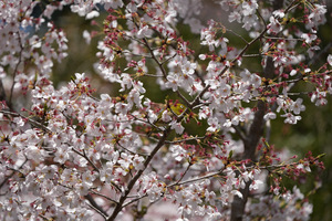 IMG_3395.jpeg