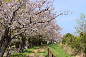 img_2_1775537216763.jpg