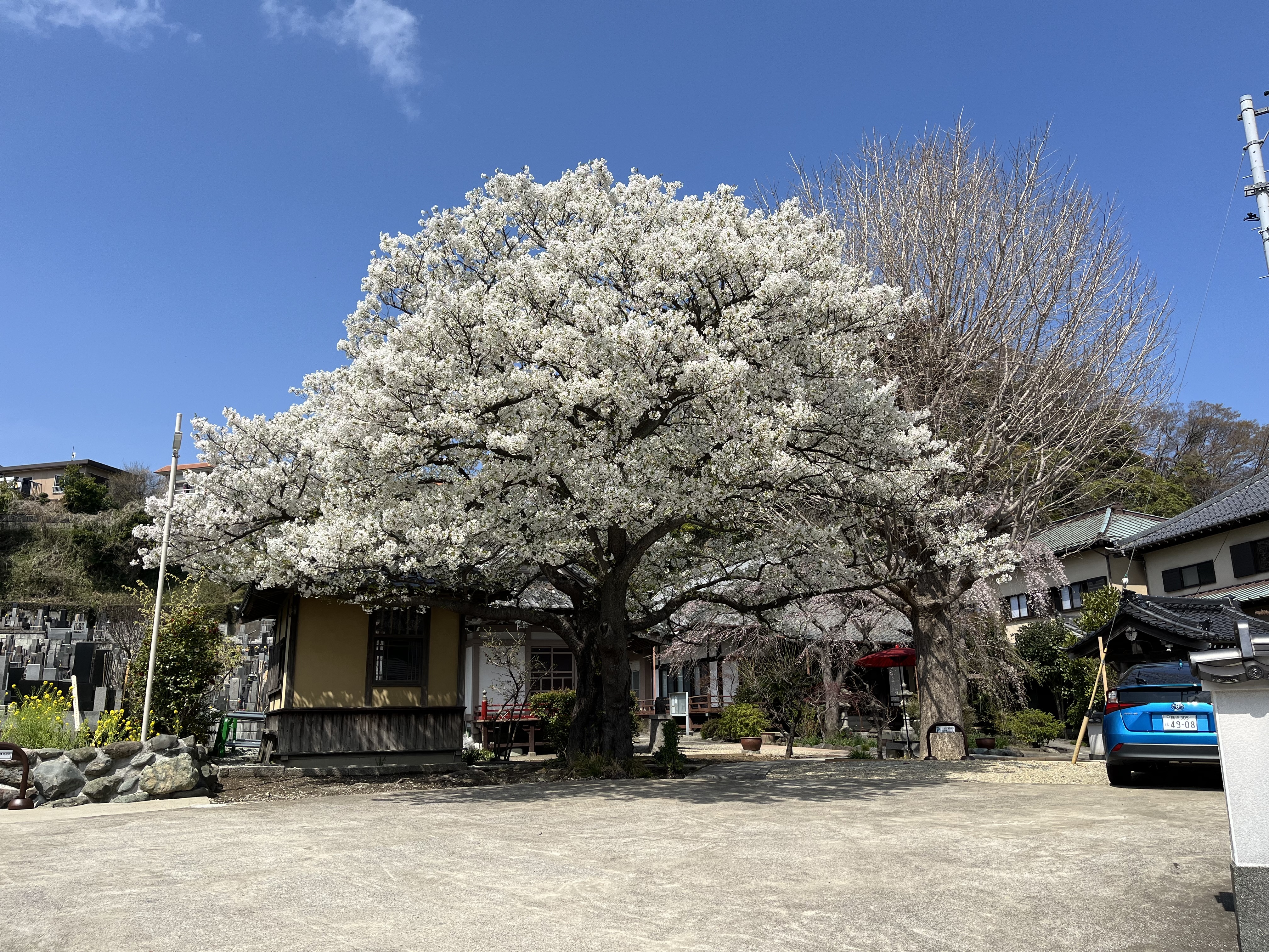 IMG_1062.jpeg