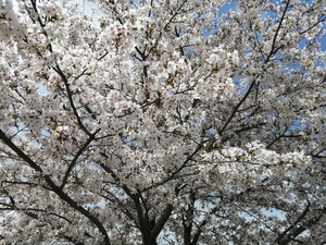 IMG_20260406_105721.jpg