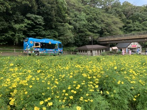 IMG_1268.jpeg