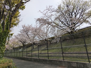 PXL_20260406_004659891.jpg