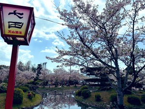 IMG_0672.jpeg
