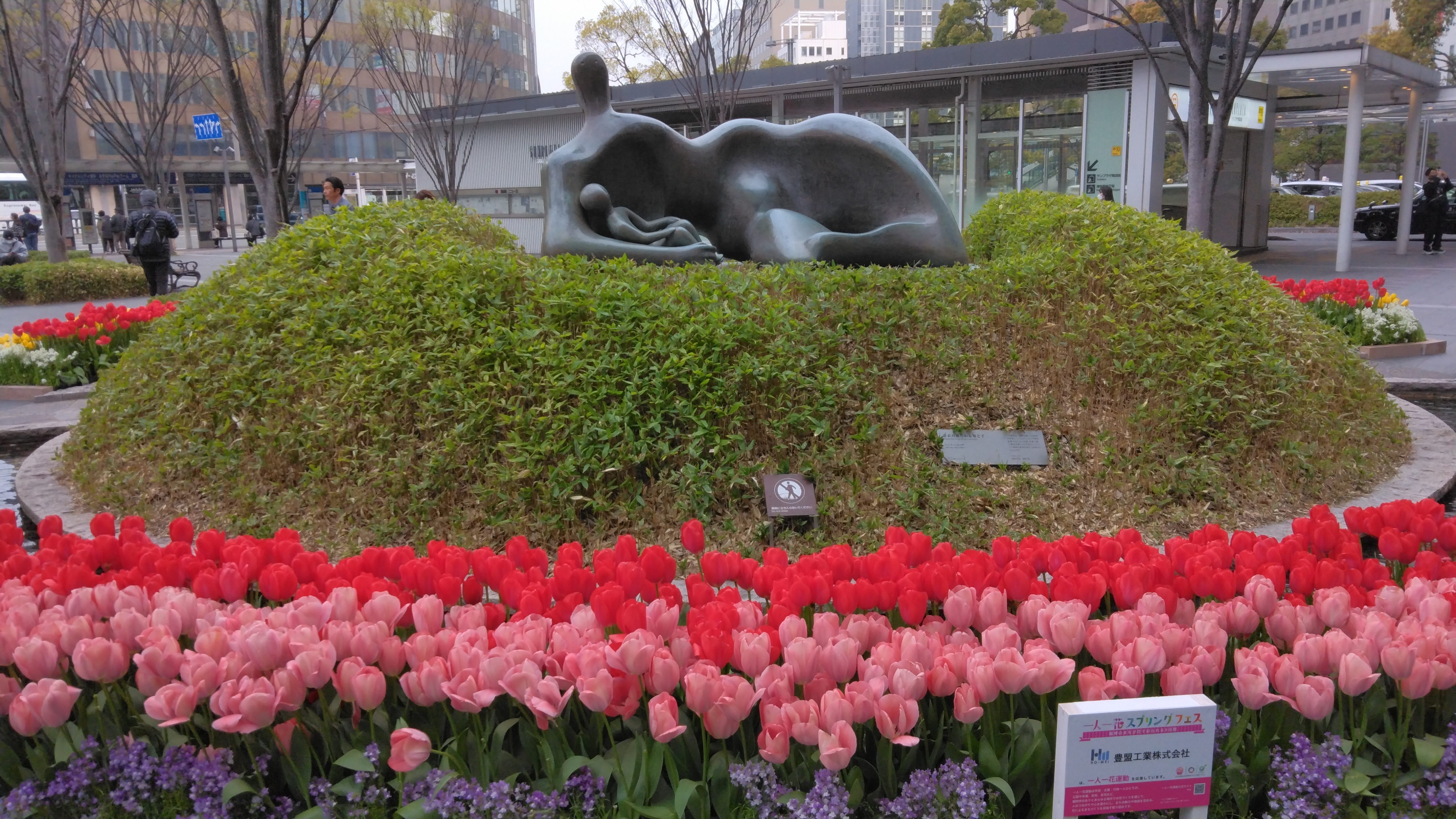 IMG_20260329_083126.jpg