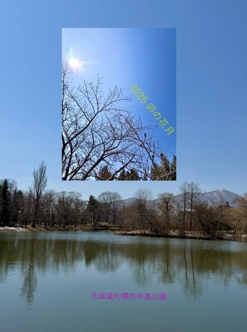 IMG_0498.jpeg