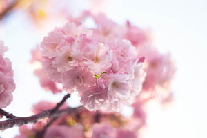 IMG_5042-1920x1280.jpg