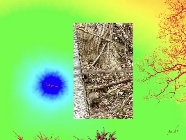 IMG_0492.jpeg