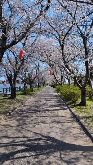 IMG_20260403_135304.jpg