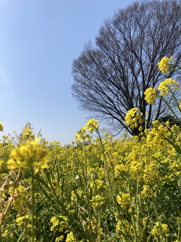 IMG_7609.jpeg