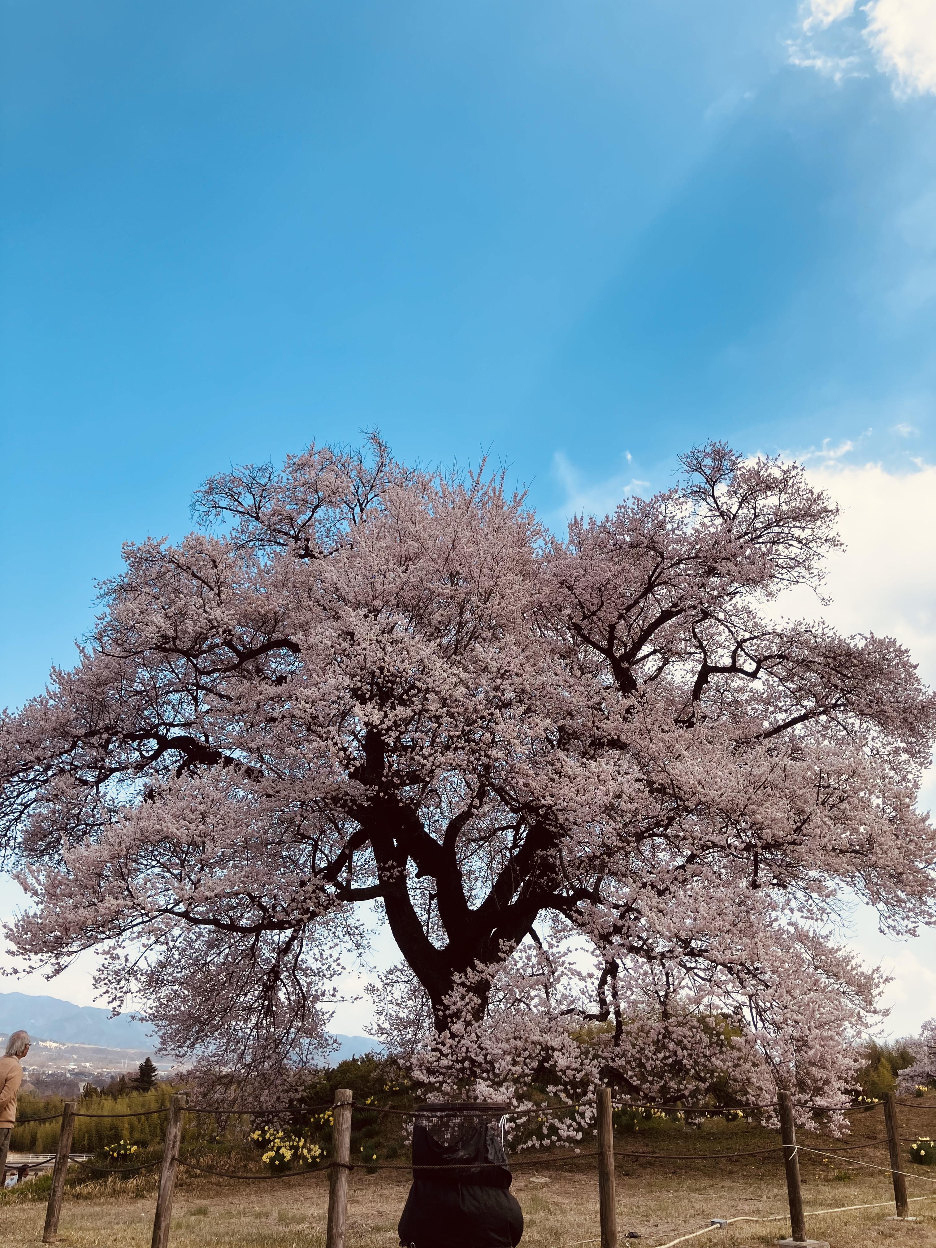 IMG_1847.jpeg