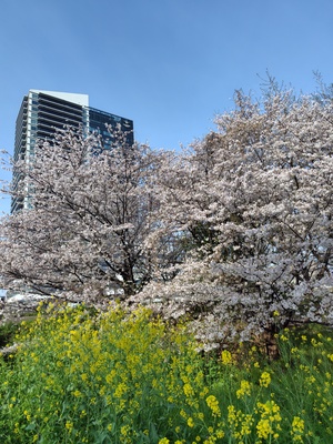 260406074629022.JPG