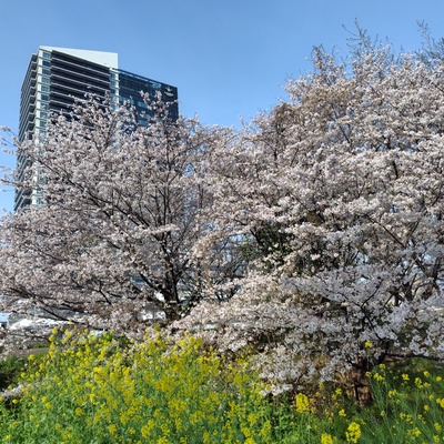 260406074629022.JPG