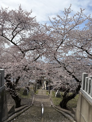 IMG_8776.jpeg