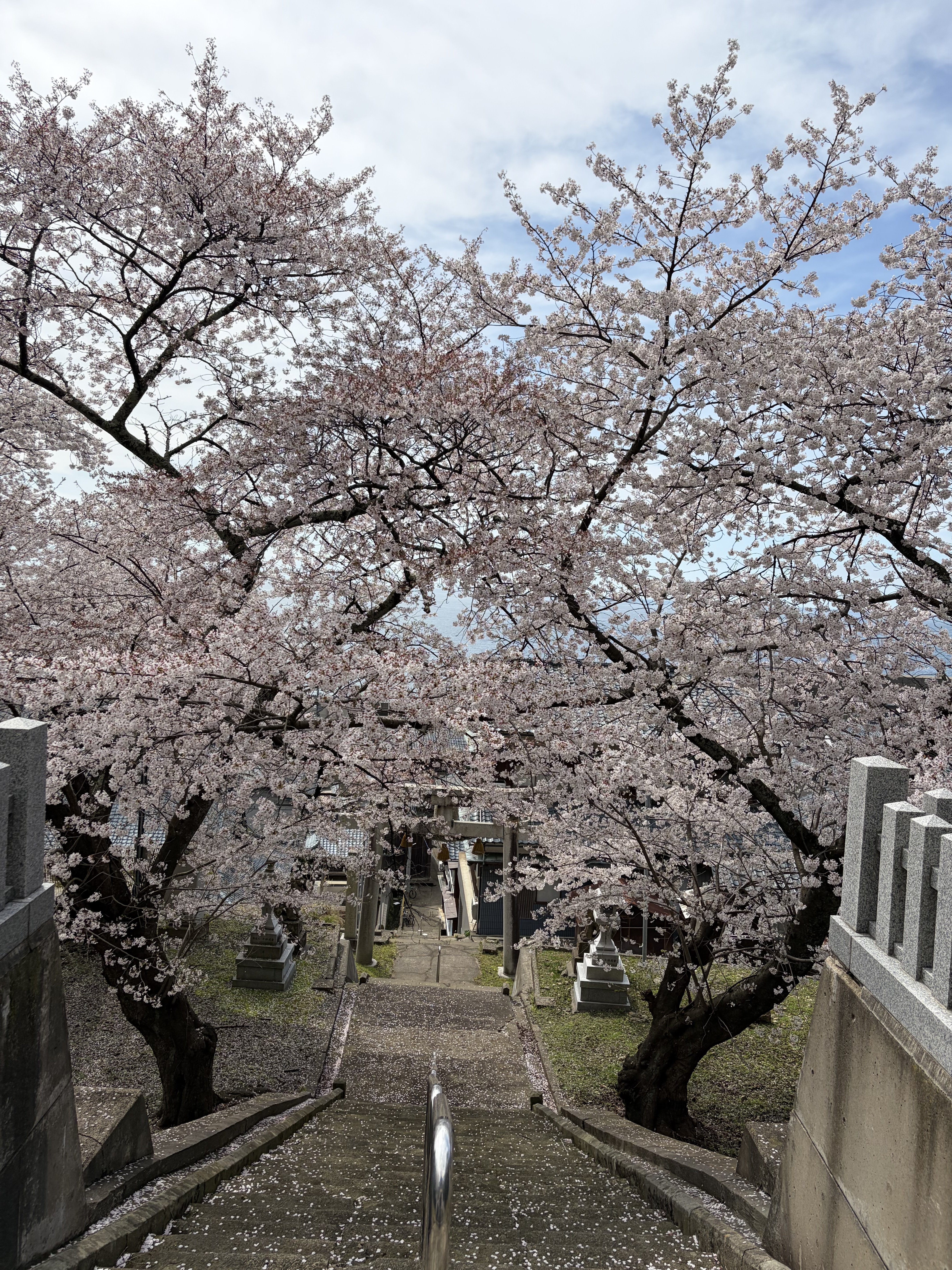 IMG_8776.jpeg