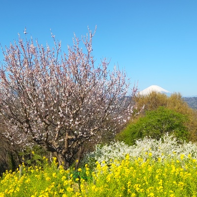 DSC_2359.JPG