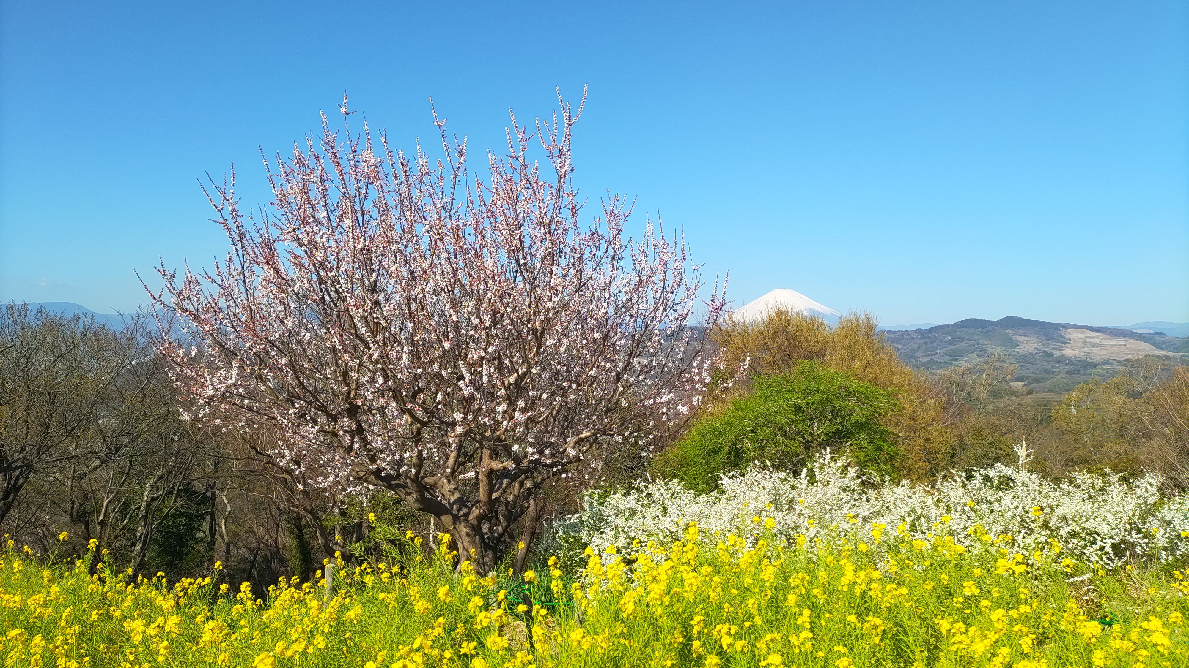 DSC_2359.JPG