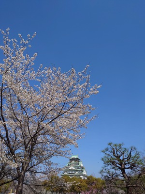 20260403_141533.JPG