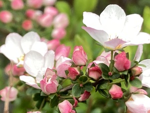 IMG_7576.jpeg