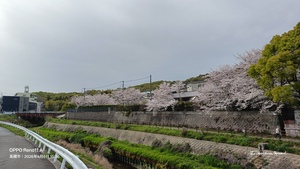 IMG20260406153609.jpg