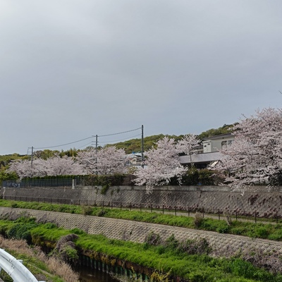 IMG20260406153609.jpg