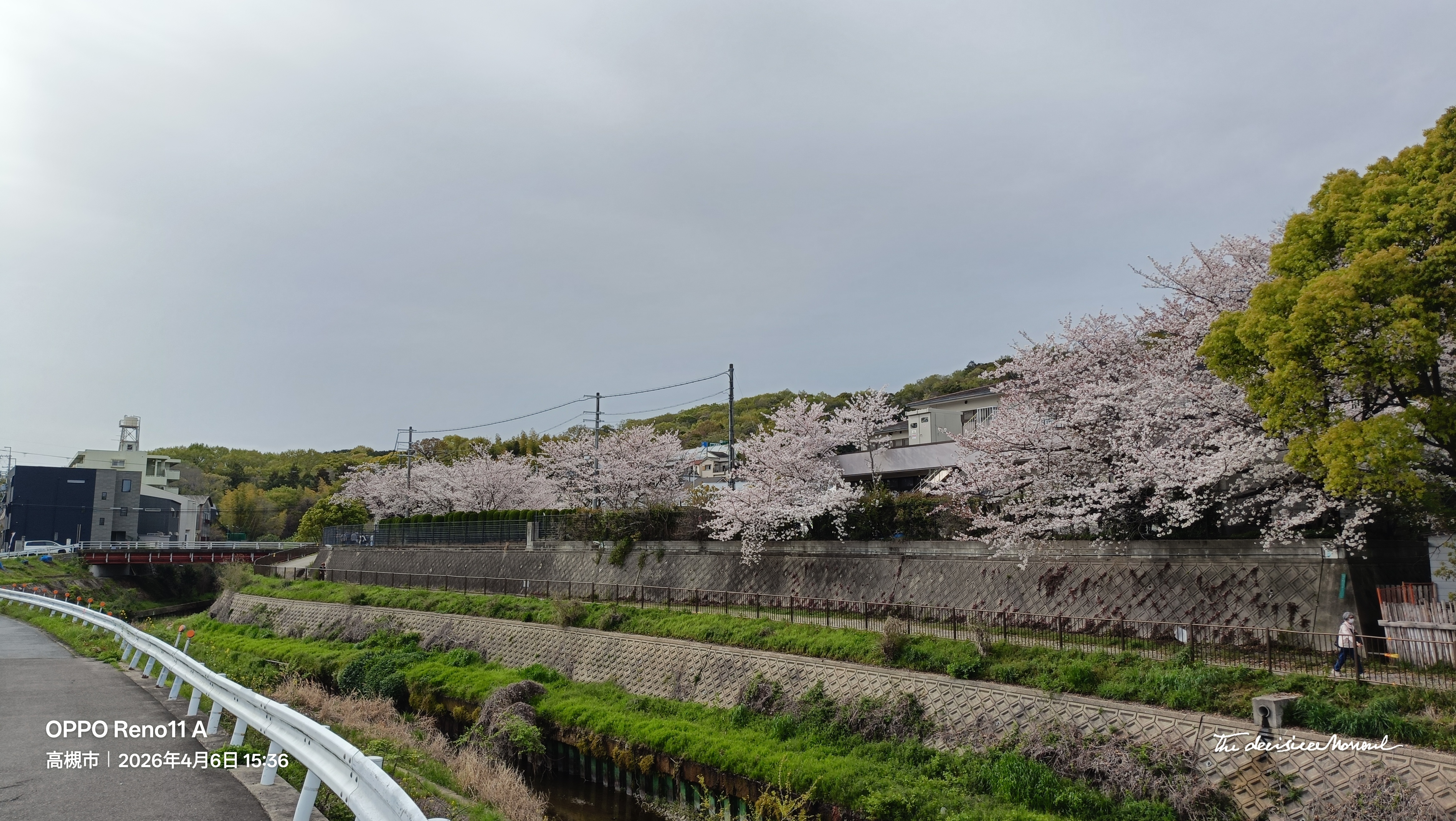 IMG20260406153609.jpg