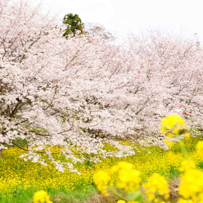 DSC00830.JPG